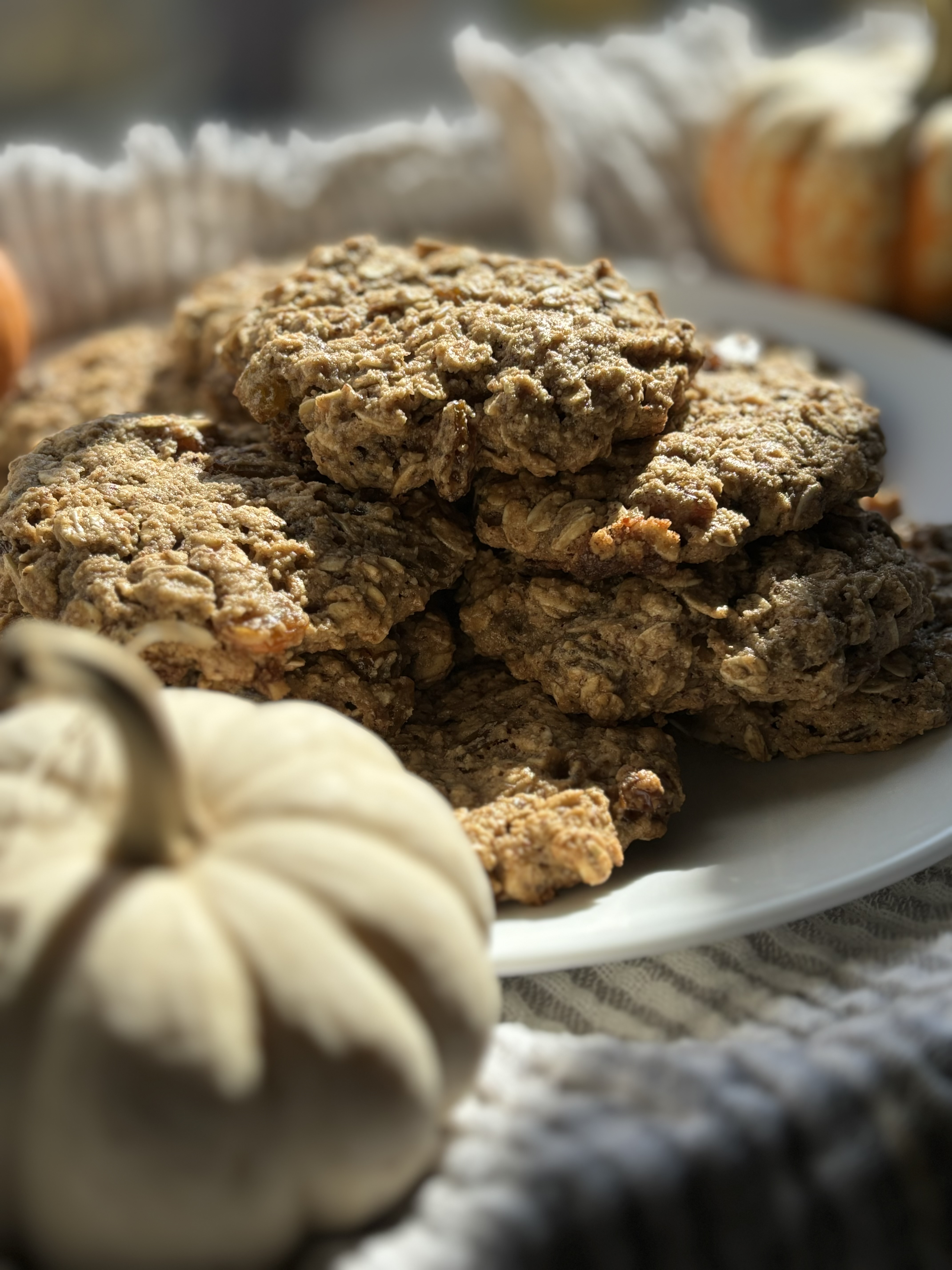 Gluten-Free Protein Oatmeal Cookies Recipe