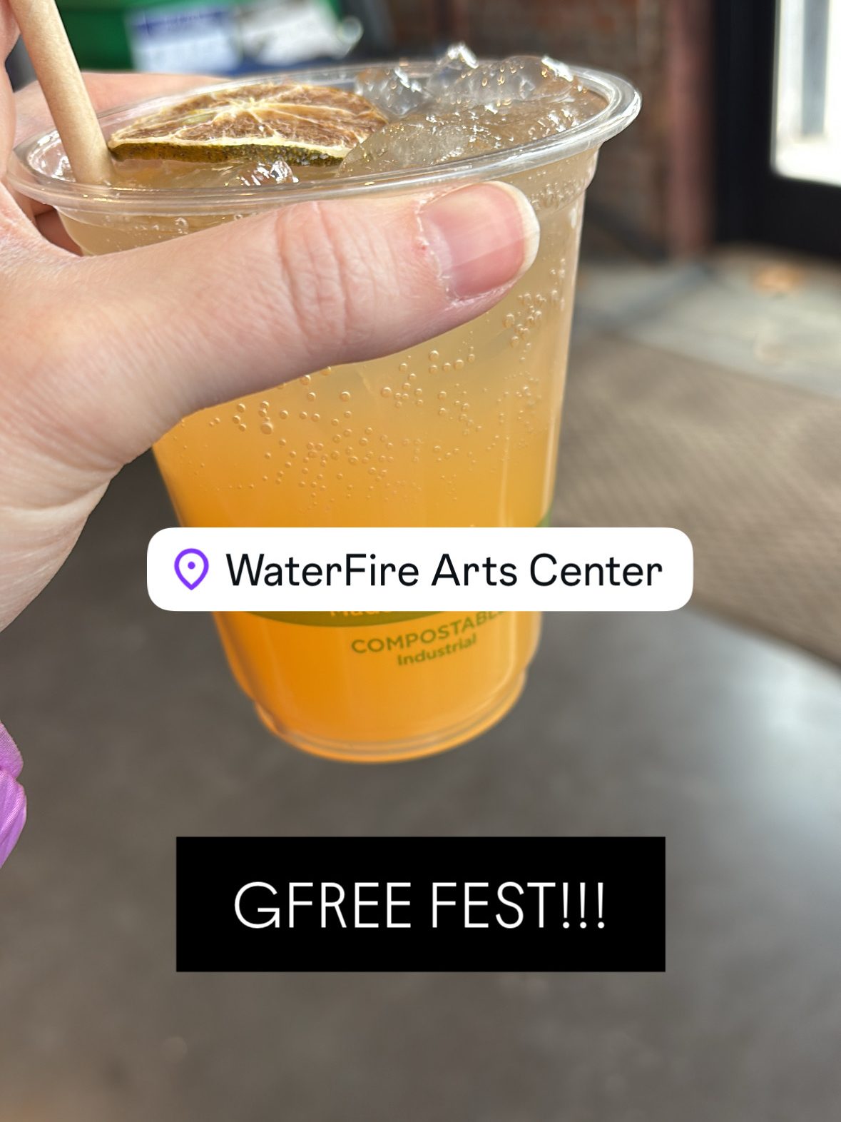 Let’s Recap GFree Fest!